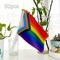 50 Pack Progress Pride Rainbow Stick Flag Small Mini Hand Held USA American LGBTQ Rainbow Gay Flags for Parades,Mardi Gras,Rainbow Party,8.2 x 5.5 inch